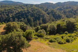 Residential Lot,  West Dry Creek road, Healdsburg, CA 95448 - 19