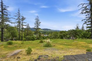 Residential Acreage,  Deer Trail road, Santa Rosa, CA 95404 - 11