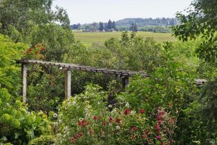 Single Family Residence,  Dry Creek road, Healdsburg, CA 95448 - 14