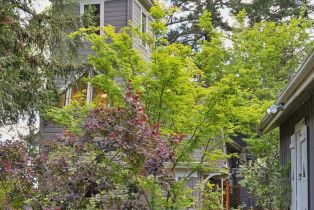 Single Family Residence,  Dry Creek road, Healdsburg, CA 95448 - 48