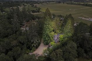 Single Family Residence,  Dry Creek road, Healdsburg, CA 95448 - 91