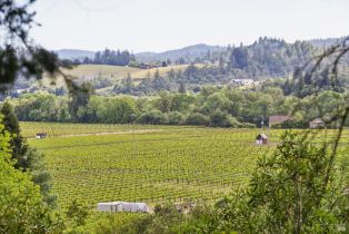 Single Family Residence,  Dry Creek road, Healdsburg, CA 95448 - 15