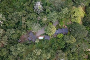Single Family Residence,  Dry Creek road, Healdsburg, CA 95448 - 88