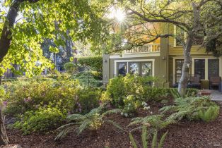 Single Family Residence,  Grant street, Healdsburg, CA 95448 - 45