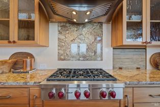Single Family Residence,  Trenton road, Russian River, CA 95401 - 31