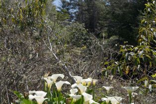 Single Family Residence,  Screech Owl none, Sea Ranch, CA 95497 - 4