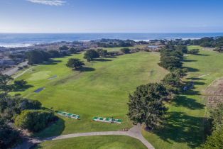 Single Family Residence,  Screech Owl none, Sea Ranch, CA 95497 - 27