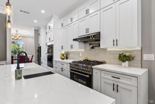 Single Family Residence,  Moss Hollow court, Santa Rosa, CA 95404 - 8