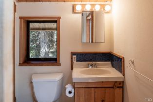 Single Family Residence,  Fly Cloud road, Sea Ranch, CA 95497 - 19