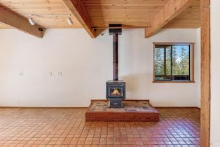 Single Family Residence,  Fly Cloud road, Sea Ranch, CA 95497 - 29