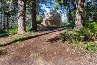 Single Family Residence,  Fly Cloud road, Sea Ranch, CA 95497 - 22