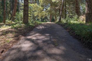 Single Family Residence,  Fly Cloud road, Sea Ranch, CA 95497 - 42