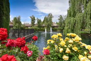 Condominium,  Fountain Grove circle, Napa, CA 94558 - 29