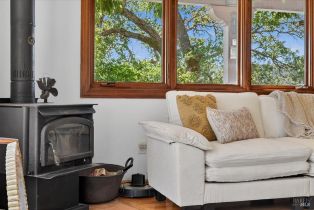 Single Family Residence,  Flora Ranch road, Healdsburg, CA 95448 - 27
