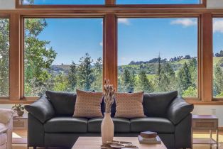 Single Family Residence,  Flora Ranch road, Healdsburg, CA 95448 - 18