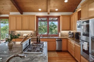 Single Family Residence,  Flora Ranch road, Healdsburg, CA 95448 - 31