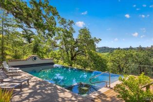 Single Family Residence,  Flora Ranch road, Healdsburg, CA 95448 - 69