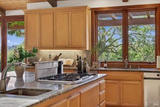 Single Family Residence,  Flora Ranch road, Healdsburg, CA 95448 - 34