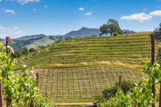 Single Family Residence,  Flora Ranch road, Healdsburg, CA 95448 - 75