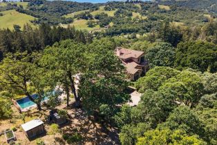 Single Family Residence,  Flora Ranch road, Healdsburg, CA 95448 - 8