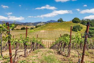 Single Family Residence,  Flora Ranch road, Healdsburg, CA 95448 - 77