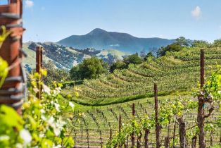 Single Family Residence,  Flora Ranch road, Healdsburg, CA 95448 - 76