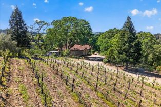 Single Family Residence,  Flora Ranch road, Healdsburg, CA 95448 - 7