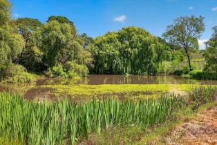 Single Family Residence,  Flora Ranch road, Healdsburg, CA 95448 - 81