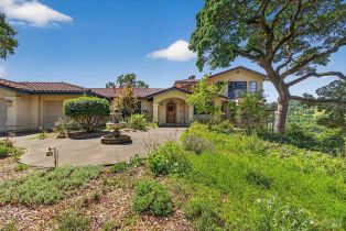 Single Family Residence,  Flora Ranch road, Healdsburg, CA 95448 - 11