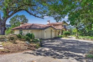 Single Family Residence,  Flora Ranch road, Healdsburg, CA 95448 - 10