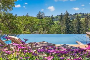 Single Family Residence,  Flora Ranch road, Healdsburg, CA 95448 - 68