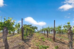 Single Family Residence,  Flora Ranch road, Healdsburg, CA 95448 - 80