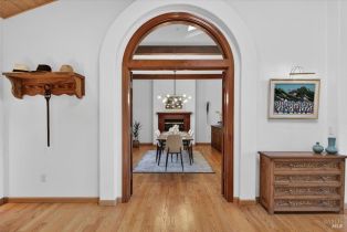 Single Family Residence,  Flora Ranch road, Healdsburg, CA 95448 - 21