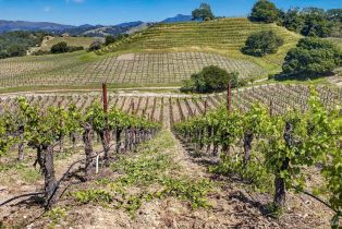 Single Family Residence,  Flora Ranch road, Healdsburg, CA 95448 - 79