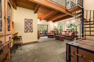 Single Family Residence,  Old Cazadero road, Russian River, CA 95446 - 19