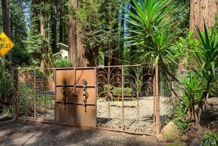 Single Family Residence,  Old Cazadero road, Russian River, CA 95446 - 46