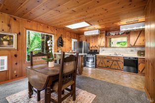 Single Family Residence,  Old Cazadero road, Russian River, CA 95446 - 10