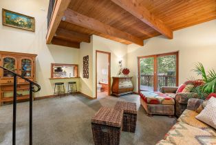 Single Family Residence,  Old Cazadero road, Russian River, CA 95446 - 24