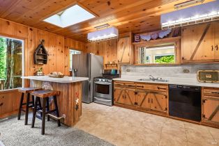 Single Family Residence,  Old Cazadero road, Russian River, CA 95446 - 9