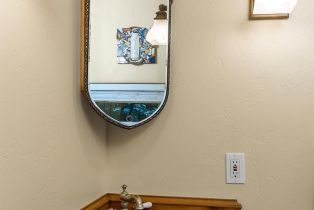Single Family Residence,  Old Cazadero road, Russian River, CA 95446 - 26