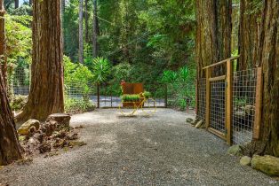 Single Family Residence,  Old Cazadero road, Russian River, CA 95446 - 42