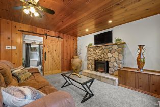 Single Family Residence,  Old Cazadero road, Russian River, CA 95446 - 12