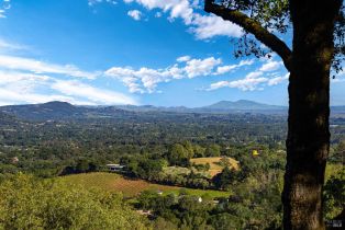 Single Family Residence,  Sobre Vista road, Sonoma, CA 95476 - 20