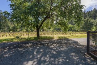 Single Family Residence,  Youngs road, Healdsburg, CA 95448 - 53