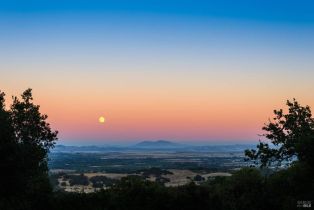 Single Family Residence,  Grove street, Sonoma, CA 95476 - 38