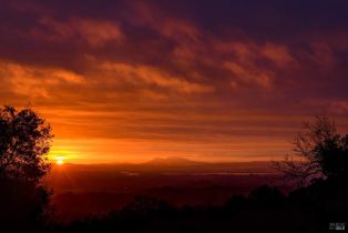 Single Family Residence,  Grove street, Sonoma, CA 95476 - 36