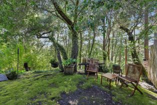 Single Family Residence,  Stepps road, Sebastopol, CA 95472 - 43