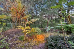 Single Family Residence,  Stepps road, Sebastopol, CA 95472 - 51