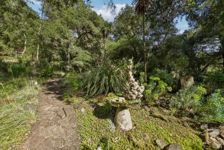 Single Family Residence,  Stepps road, Sebastopol, CA 95472 - 71