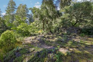 Single Family Residence,  Stepps road, Sebastopol, CA 95472 - 65
